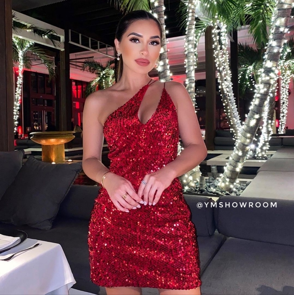ZARA velvet sequin mini dress.
